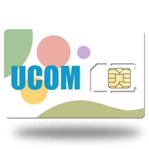 Prepaid Data SIM